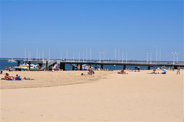 Bassin d’ Arcachon