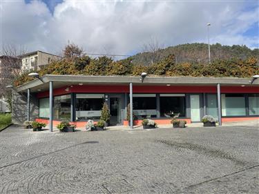 Radici Restaurant Como